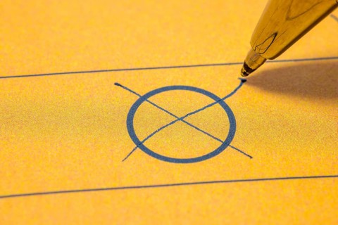 Ballot paper, ballot paper, ballot cross, circle, cross, ticked, biros