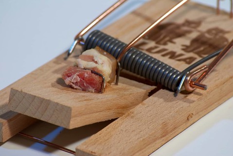 Mousetrap with bacon