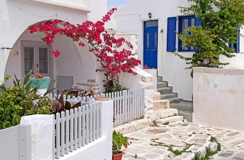 Alley with bougainvillea or bougainvilleas (Bougainvillea), Parikia, Paros, Clyclades, Greece,