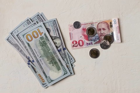 Lari, 20 GEL, Georgian monetary currency, with dollars, banknotes, top view, no people, on the