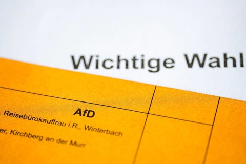 Ballot paper, ballot paper, election matter, AFD, regional election, district council election,