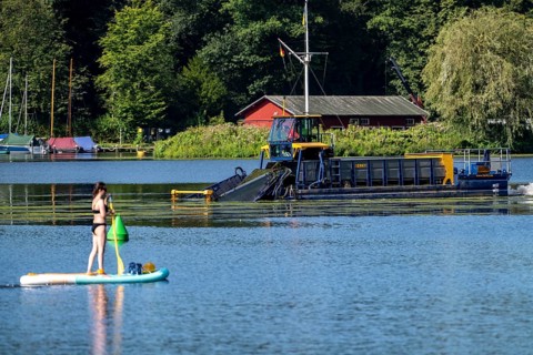 Mowing boat Nimmersatt, of the Ruhrverband, tries to keep the green plant carpet on the Lake