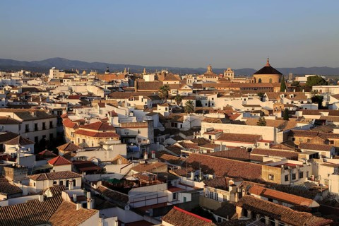 Oblique raised angle view of historic city centre buildings, Cordoba, Spain, Europe