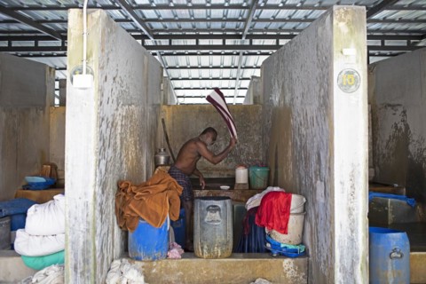 Indian man washing clothes in the laundry Dhoby Khana, Kochi, Kerala, India, Asia