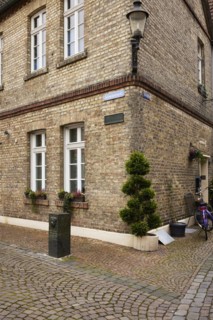 Historic brick house with lantern and mock cypress (Chamaecyparis) at Schweinemarkt in Warendorf,