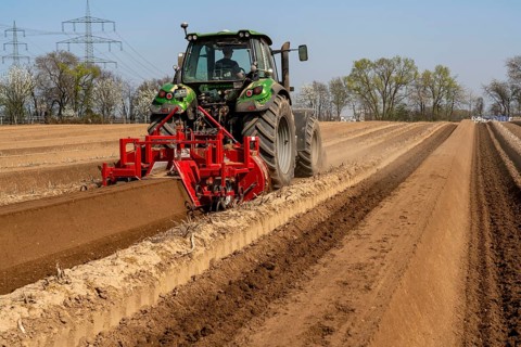 A farmer builds asparagus ridges on a field with the help of an asparagus tiller, in which the