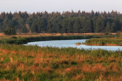 On the Baltic Sea near Peenemünde, September, Mecklenburg-Western Pomerania, Germany, Europe