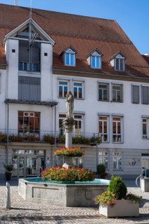 Town hall fountain with statue of the Virgin Mary in front of Hüfingen town hall, Hüfingen, Black
