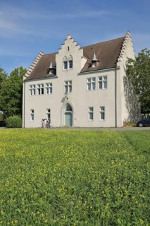 White building with stepped gable and yellow flower meadow, rape field, Burgstraße, Mittelzell,