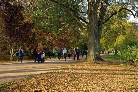 Europe, Germany, Hamburg, City, Outer Alster Lake, Hiking trail Alsterpark, in autumn, Hamburg,