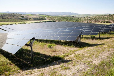 Array of photovoltaic solar panels in Mediterranean sunshine, near Alhama de Granada, Spain, Europe