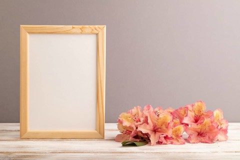 Wooden frame with pink azalea flowers on gray pastel background. side view, copy space, mockup,