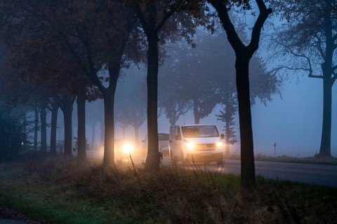 Country road B 57 near Erkelenz, autumn, fog, rainy weather, tree-lined avenue, wet road, North