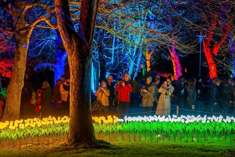Parkleuchten, event in winter, in the Grugapark in Essen, many different light installations,