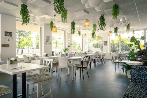 Modern café with light-coloured furniture and plenty of natural light, decorated with plants and