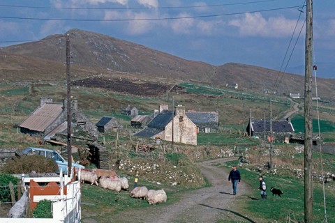 Sheep, farmer, child, people, road, houses, Dursey Island, Beara Peninsula, County Cork, Republic