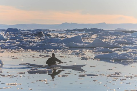 Inuit paddling a kayak between icebergs, man, sunny, summer, Ilulissat, Ilulissat Icefjord, Disko