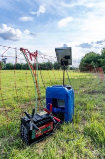 Electric pasture fence, designed to prevent molluscs, here sheep, from touching and climbing over