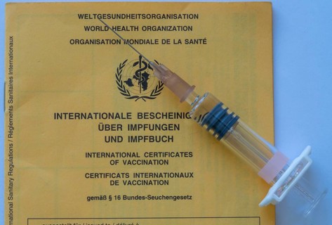 Vaccination book, proof of vaccinations, international document based on WHO recommendations,