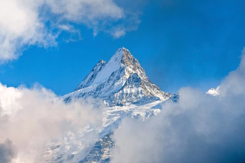 Swiss Alps, view from First to Schreckhorn, 4048 m, fog, summer, First, Grindelwald, Bernese