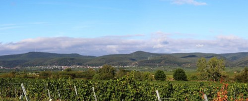 Panorama from the Haardtrand with a view of the Palatinate Forest