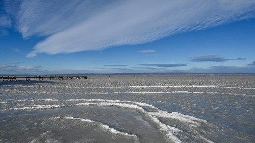 Frozen lake with ice in winter, Lake Neusiedl, Podersdorf am See, Burgenland, Austria, Europe