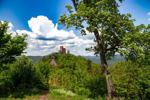 View of Trifels Castle near Annweiler (Palatinate Forest, Germany)
