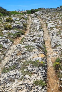 Misrah Ghar il-Kbir, Clapham Junction, prehistoric cart ruts tracked over rocky limestone surface,