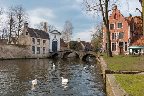 Swan on the Minnewater, city trip, UNESCO, religious, religion, old town, West Flanders, Flanders,