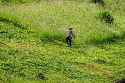 Landscape maintenance, high grass, cutting at a business, gardener, landscape maintenance, cutting