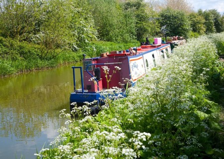 Kennet and Avon canal stretch between All Cannings and Alton Barnes, Vale of Pewsey, Wiltshire,
