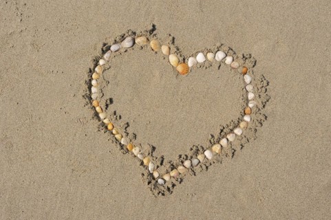 Heart made of mussel shells on the beach, Camargue, Provence, South of France