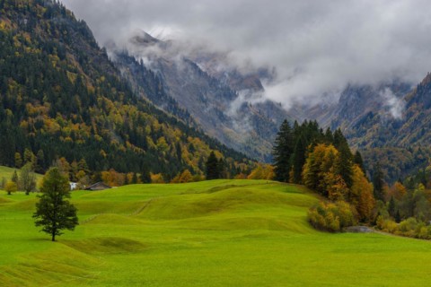 Autumn in the Trettachtal, near Oberstdorf, Oberallgäu, Allgäu, Bavaria, Germany, Europe