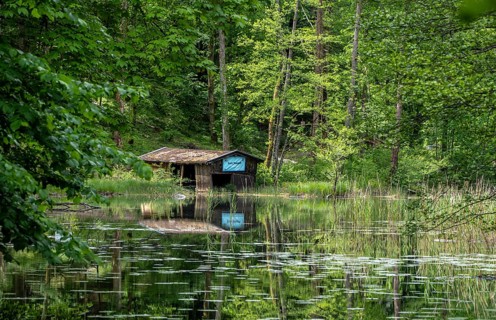 Small pond with dilapidated wooden shed in the water, Bad Reichenhall, Bavaria, Germany, Europe