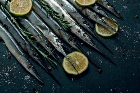 Fresh, Black Sea fish. raw, sargan, sea pike, top view, no people