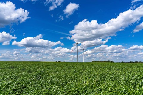 Wind farm, wind turbine, wind turbines from the manufacturer Enercon, blue sky with many white