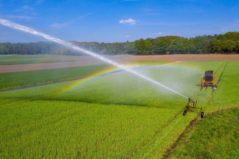 Irrigation of a wheat field on the Lower Rhine, with a mobile irrigation machine, large-area