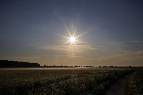 The sun rises over a field near Born am Darß. Born, 31.07.2024