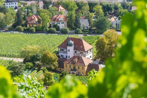 The idyllic, listed Hoflößnitz is a jewel of the Saxon wine culture landscape and the first and
