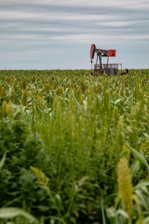 Hugoton, Kansas, An oil well in a farmer's field in southwest Kansas