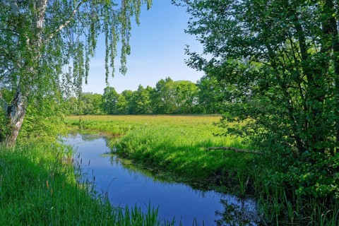 Dannefeld moor ditch on the Kahnstieg in the UNESCO Drömling Biosphere Reserve. Dannefeld,