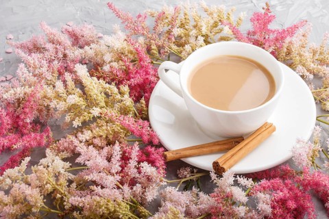 Pink and red astilbe flowers and a cup of coffee on a gray concrete background. Morninig, spring,