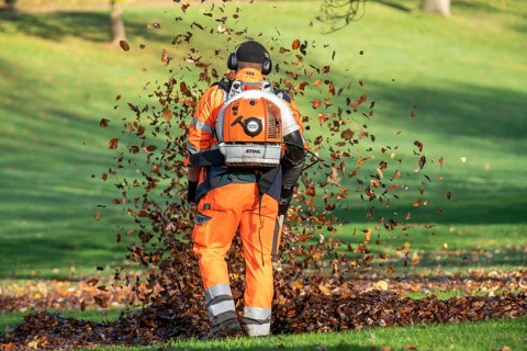 Leaf blower, removal of autumn leaves in a municipal park, Duisburg, North Rhine-Westphalia,