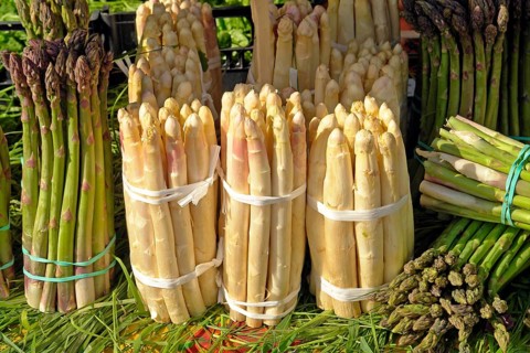 Vegetables, white and green asparagus, market stall, Venice, Italy, Europe
