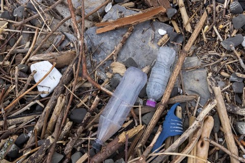 Symbolic image environmental pollution, plastic waste, rubbish, flotsam from a flood on the Neckar