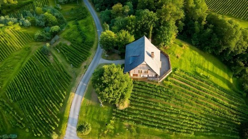 AI generated aerial view of a rustic vineyard cottage nestled amidst lush summer colored vine
