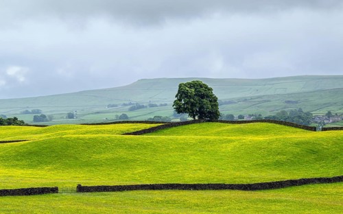 Farms in Yorkshire Dales National Park, North Yorkshire, England, United Kingdom, Europe