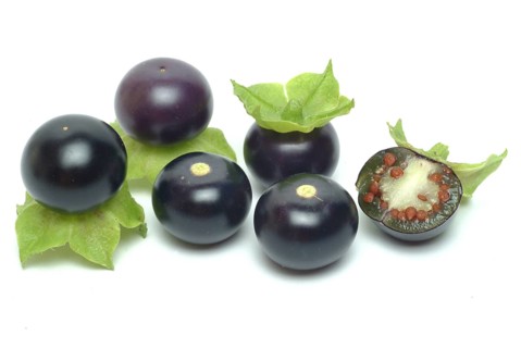 Food, fruit, black Jaltomata, Jaltomata procumbens is a plant species from the genus Jaltomata in
