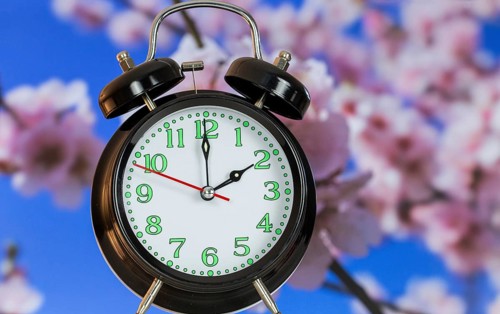 Symbolic image of the time change to summer time: close-up of an alarm clock in front of blooming