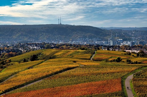 View of Daimler corporate headquarters, Mercedes-Benz plant Untertürkheim, television tower, radio